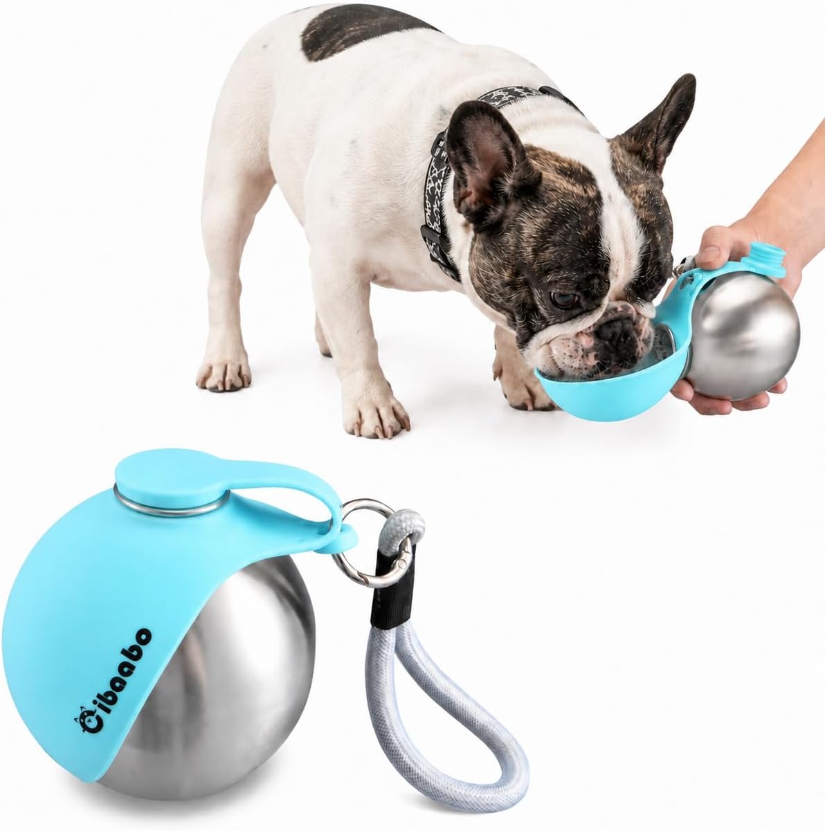 Cibaabo 2 in 1 Portable Dog Water Bottle front view showing the blue silicone bowl folded over the stainless steel body.