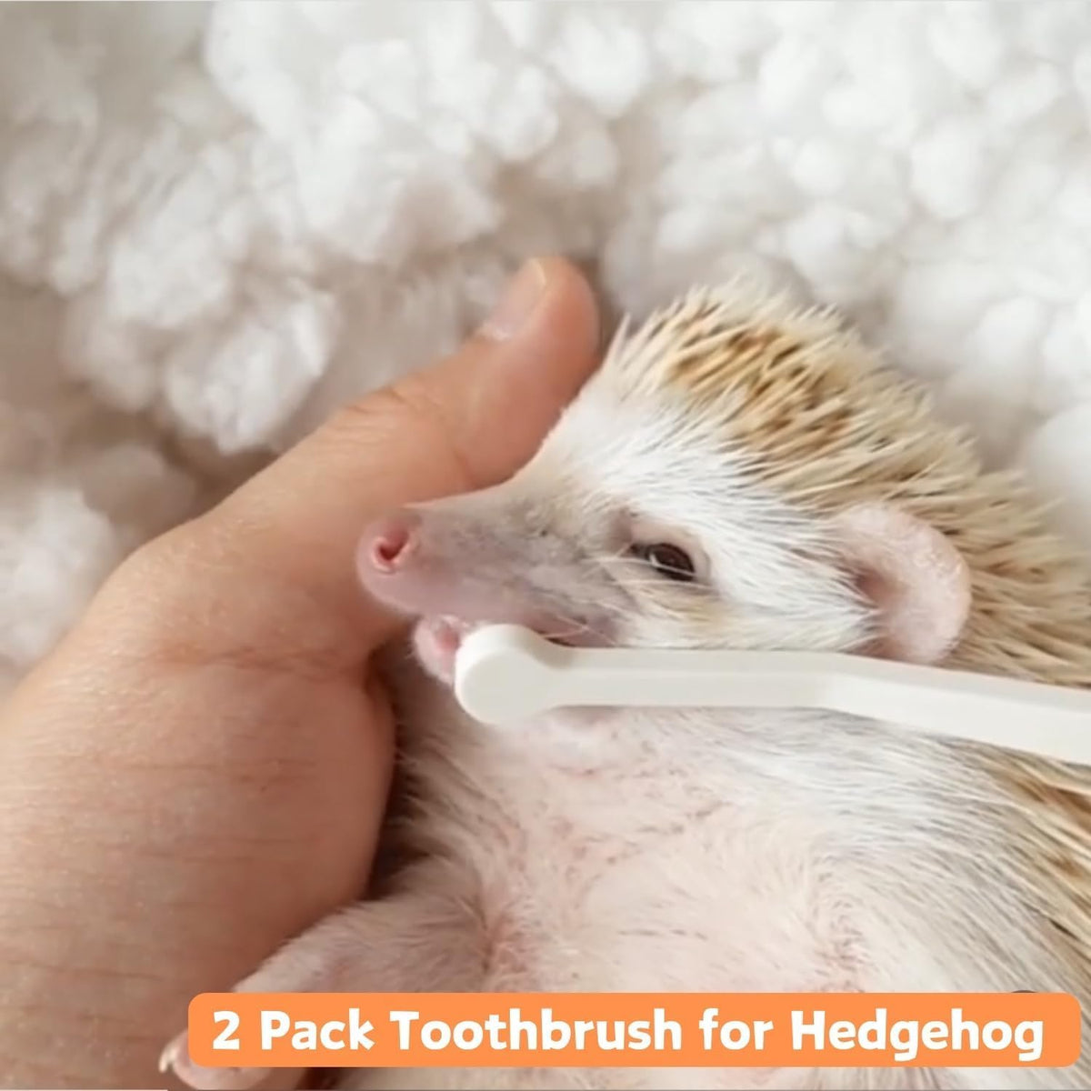 PUMEXFE imported small pet oral care kit in original packaging view.