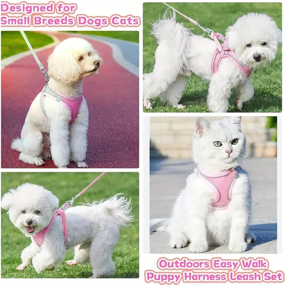 Metal D-ring attachment on Sachi Sports adjustable pet harness