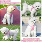 Metal D-ring attachment on Sachi Sports adjustable pet harness