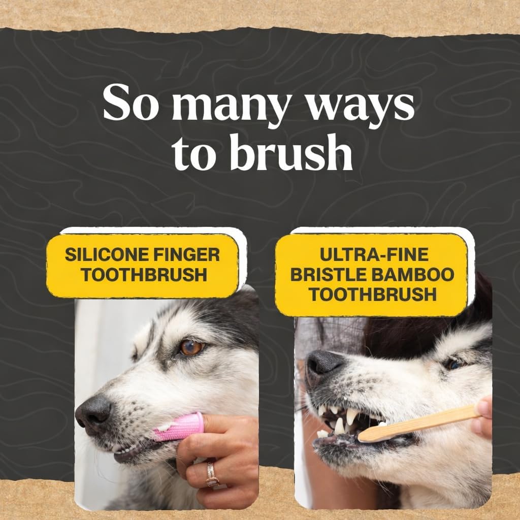 Natural peanut butter flavored dog toothpaste tube