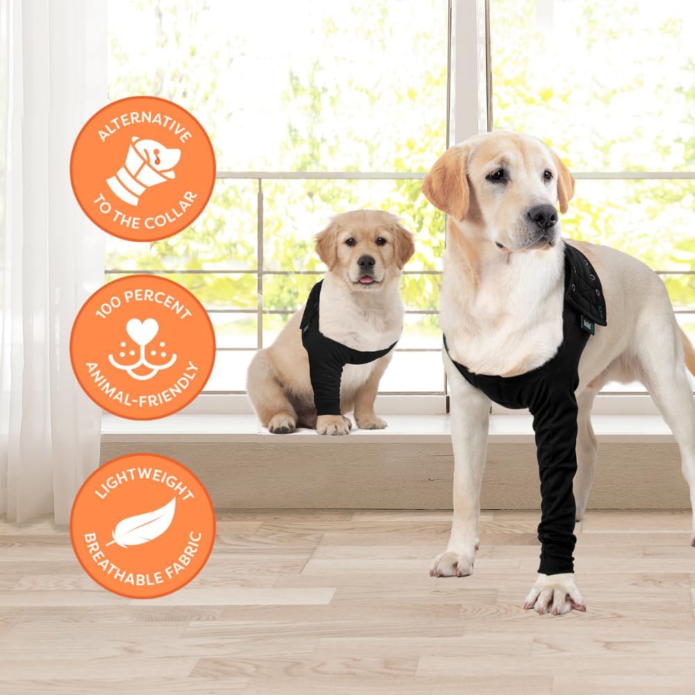 Suitical e-collar cone alternative for injured dogs
