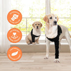 Suitical e-collar cone alternative for injured dogs