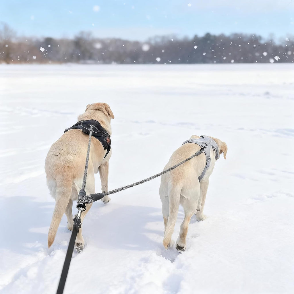 Double Dog Leash Coupler, Heavy Duty Extension Rope for Two Dogs, No Tangle 1/2" Thick Dual Dog Lead Splitter for Large Medium Dogs Over 40 lbs (Black) - Image 9