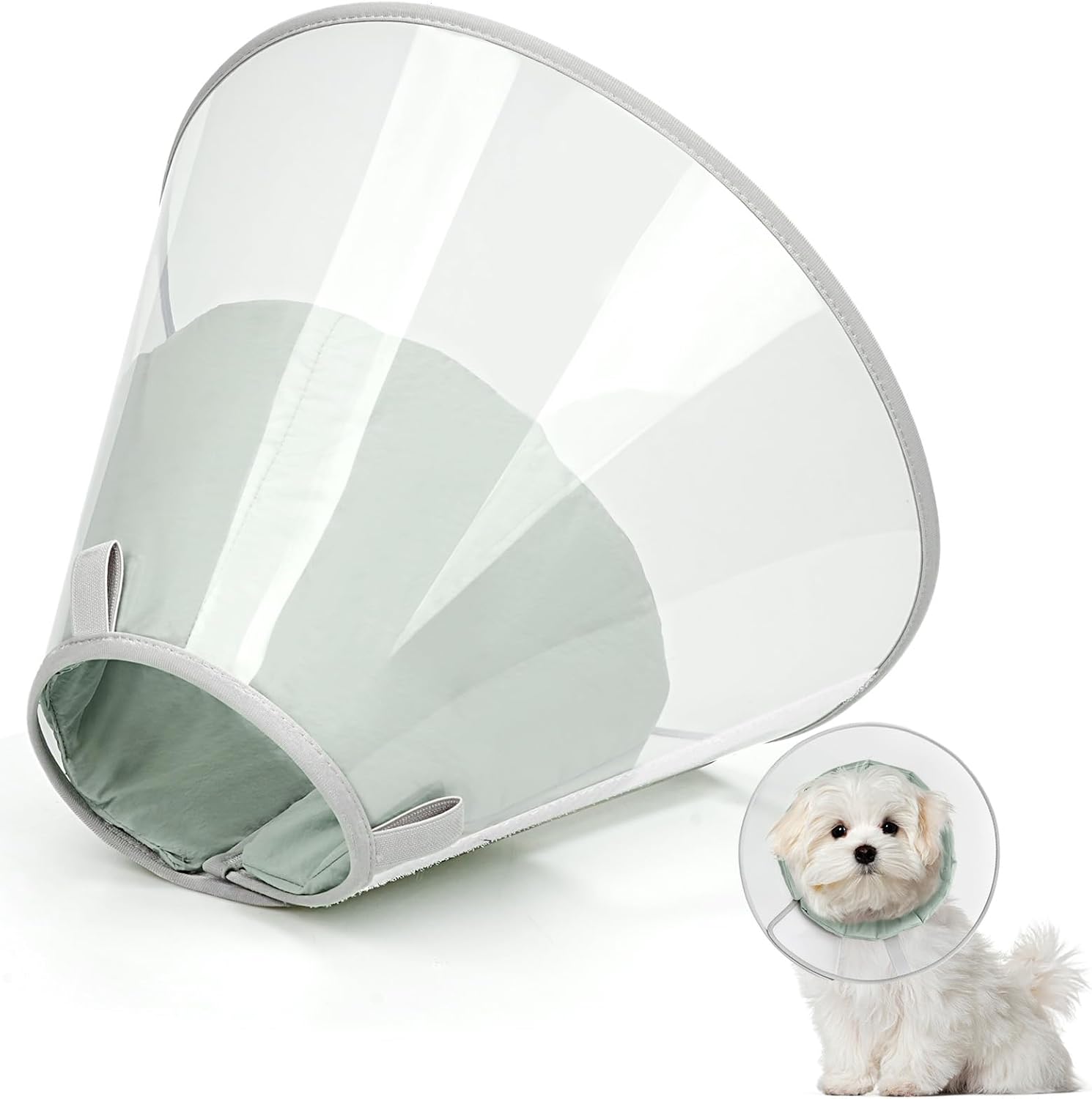 Joypig protective cone for dogs showing secure neck fit