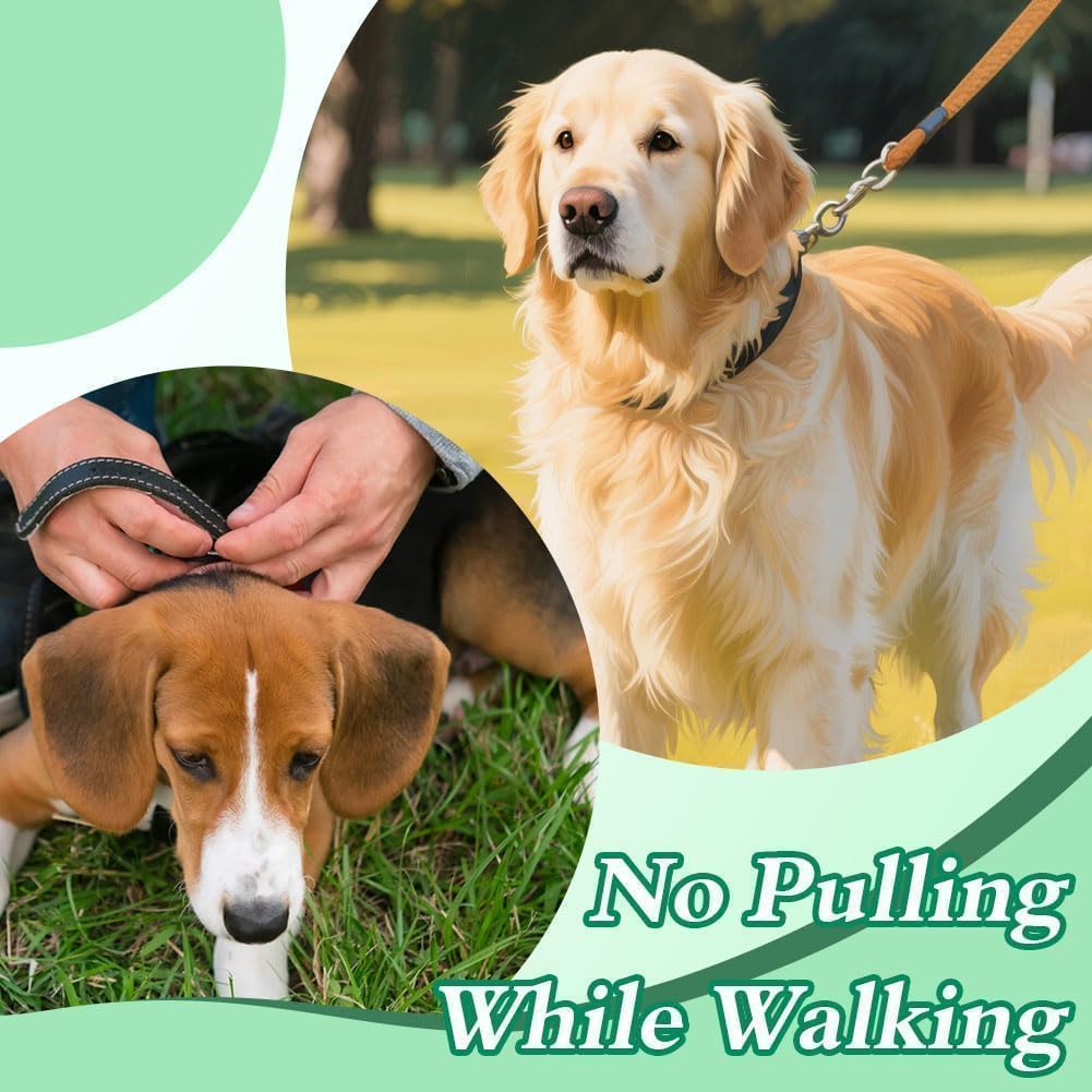 IIT brand no choke dog collar for correcting pulling behavior on walks
