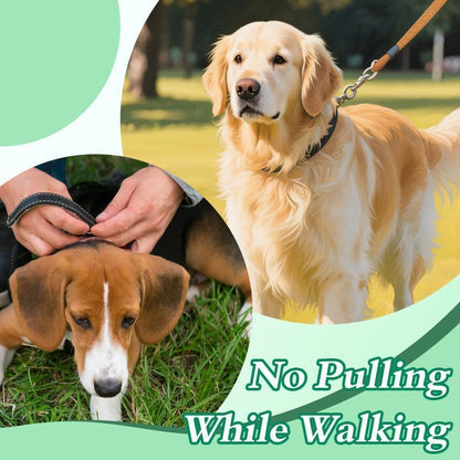 IIT brand no choke dog collar for correcting pulling behavior on walks