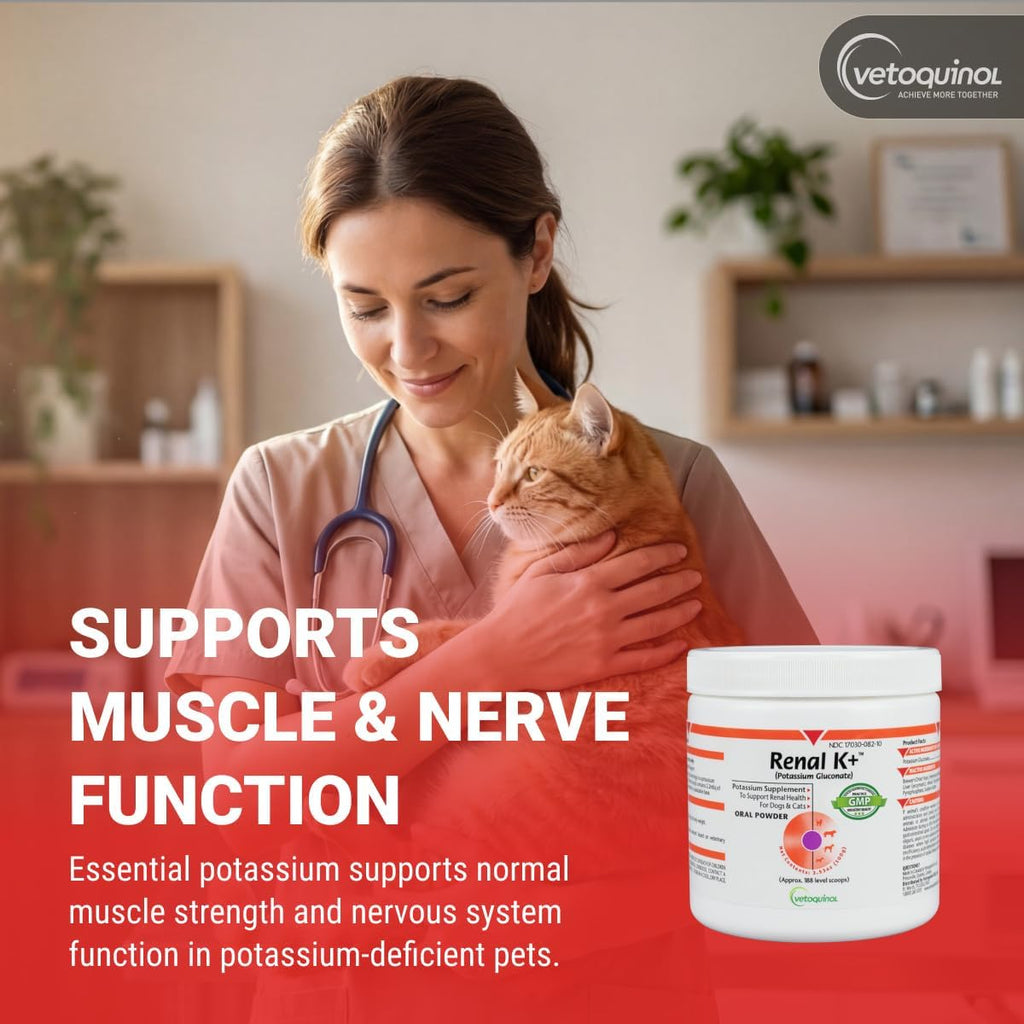 Vetoquinol Renal K powder texture for pet food