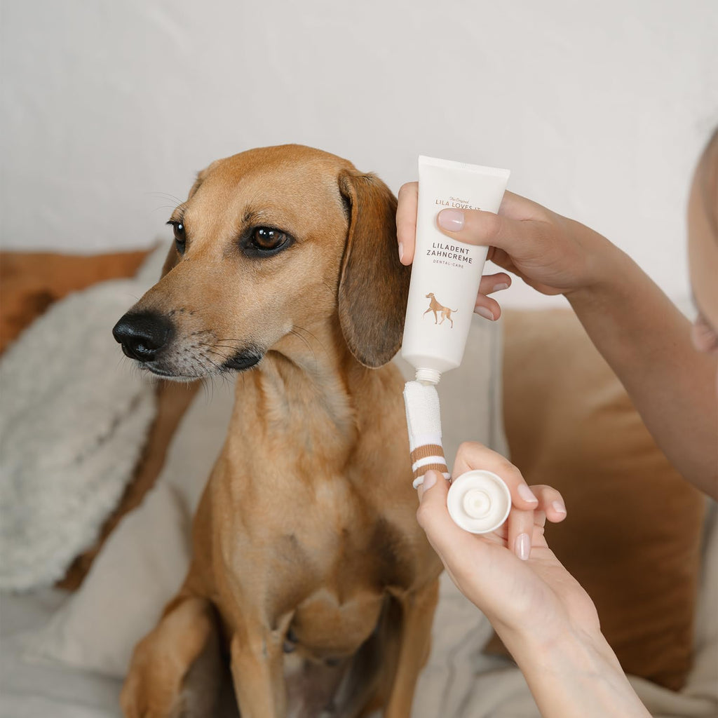 Veterinarian-developed toothpaste for dog oral hygiene