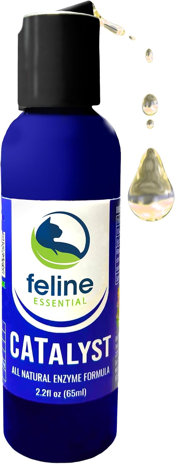 Feline Essential Catalyst Antioxidant Enzyme Formula for Cats - Cat Digestive Enzyme - Digestive Enzymes for Cats - Cat Digestive Support - Feline Catalyst Liquid Pancreatic Enzyme Supplements Cats - Image 9