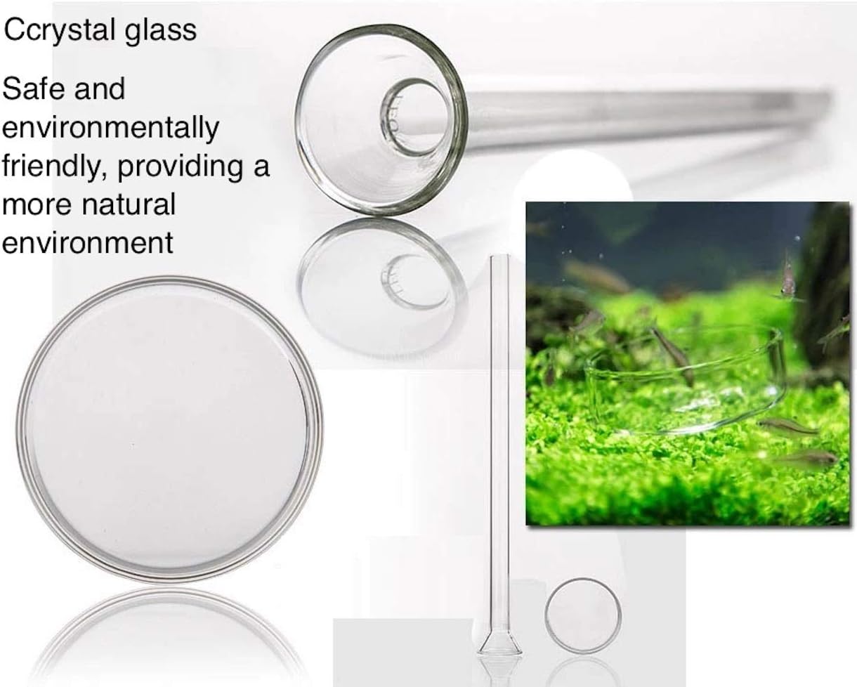 AnxunJim minimalist crystal glass shrimp feeding tray side angle