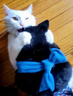 Close-up view of crinkle ears on interactive feline enrichment toy