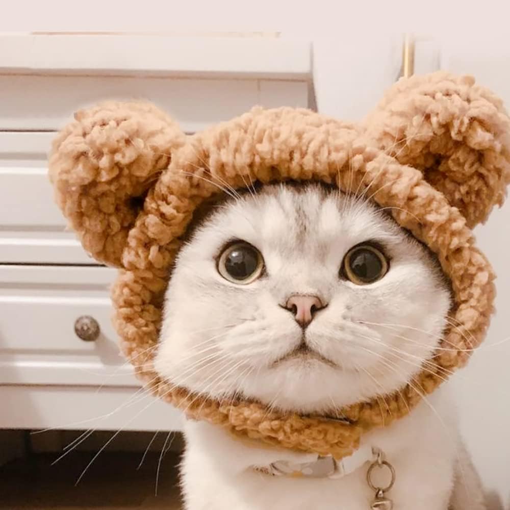 Joicee cat winter warm bear headwear displayed on white background
