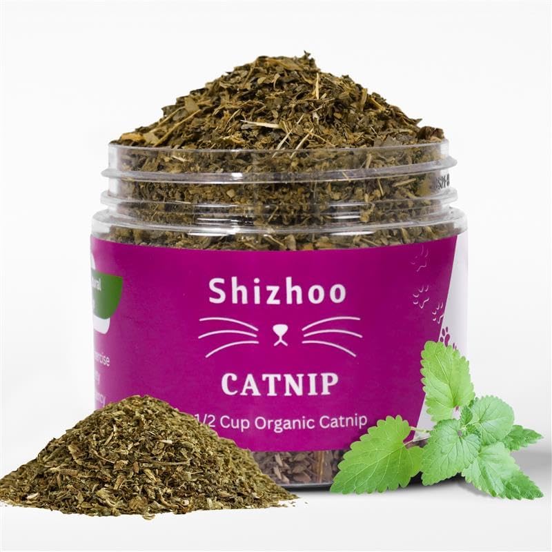 Shizhoo premium organic catnip jar front view for cat playtime stimulation