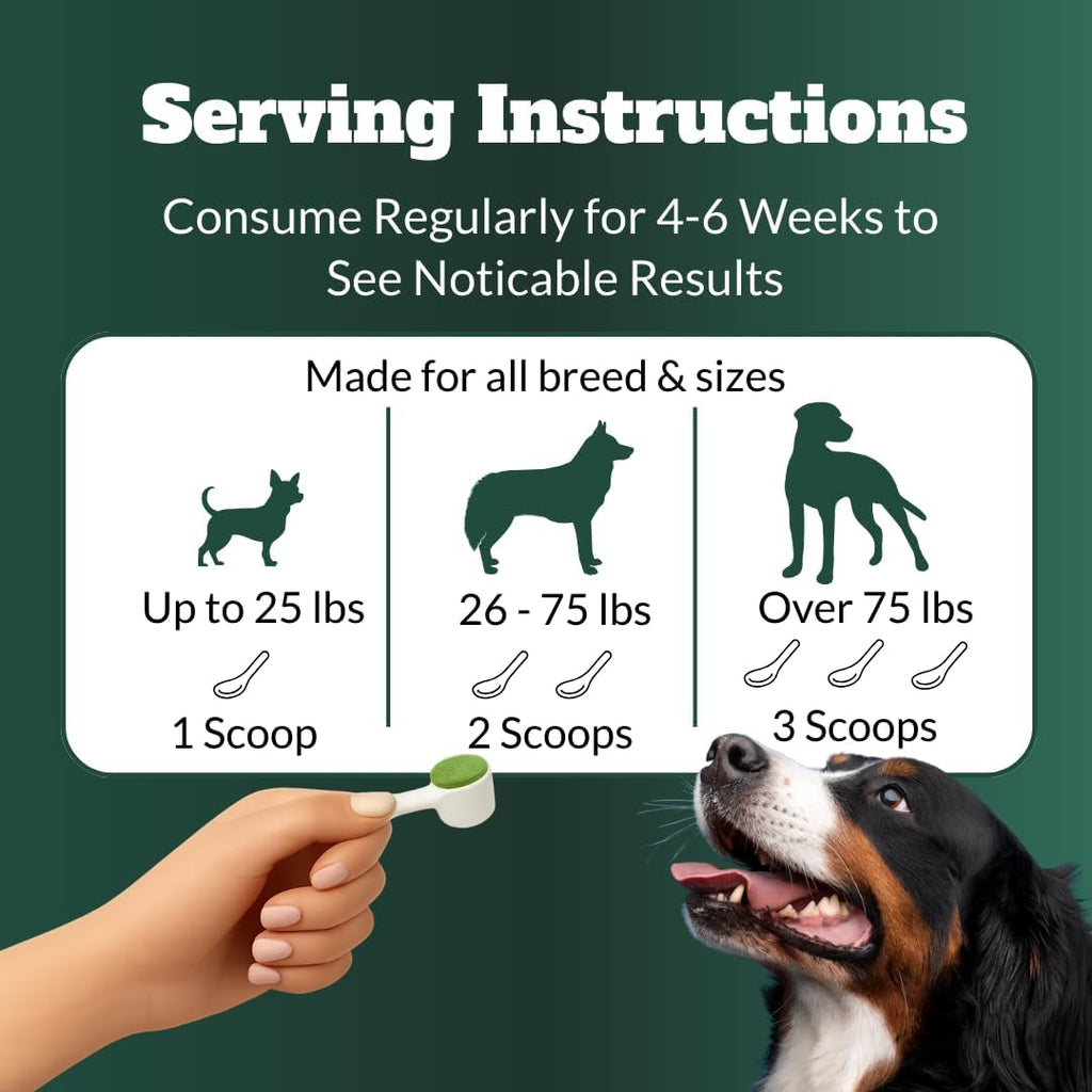 DRMOIS pet tartar remover powder with included measuring scoop detail
