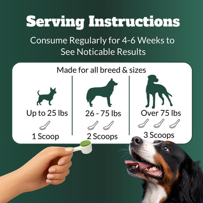 DRMOIS pet tartar remover powder with included measuring scoop detail