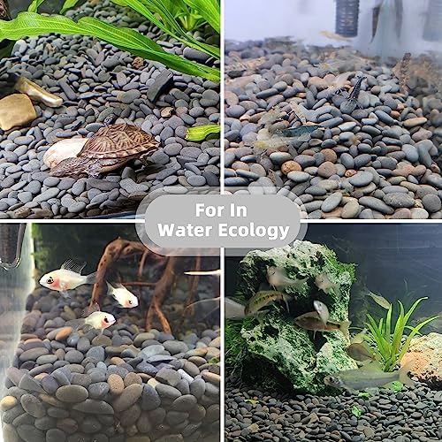 Natural smooth river rocks for DIY fairy garden and terrarium