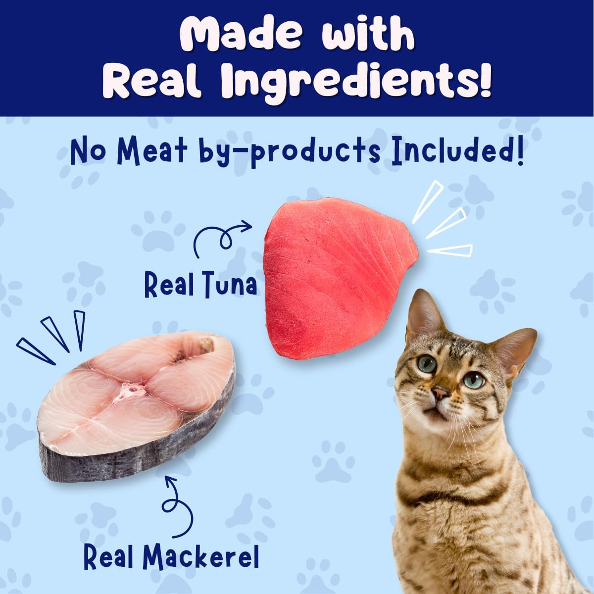 Texture of Queen's Cat tuna and mackerel wet food on a plate