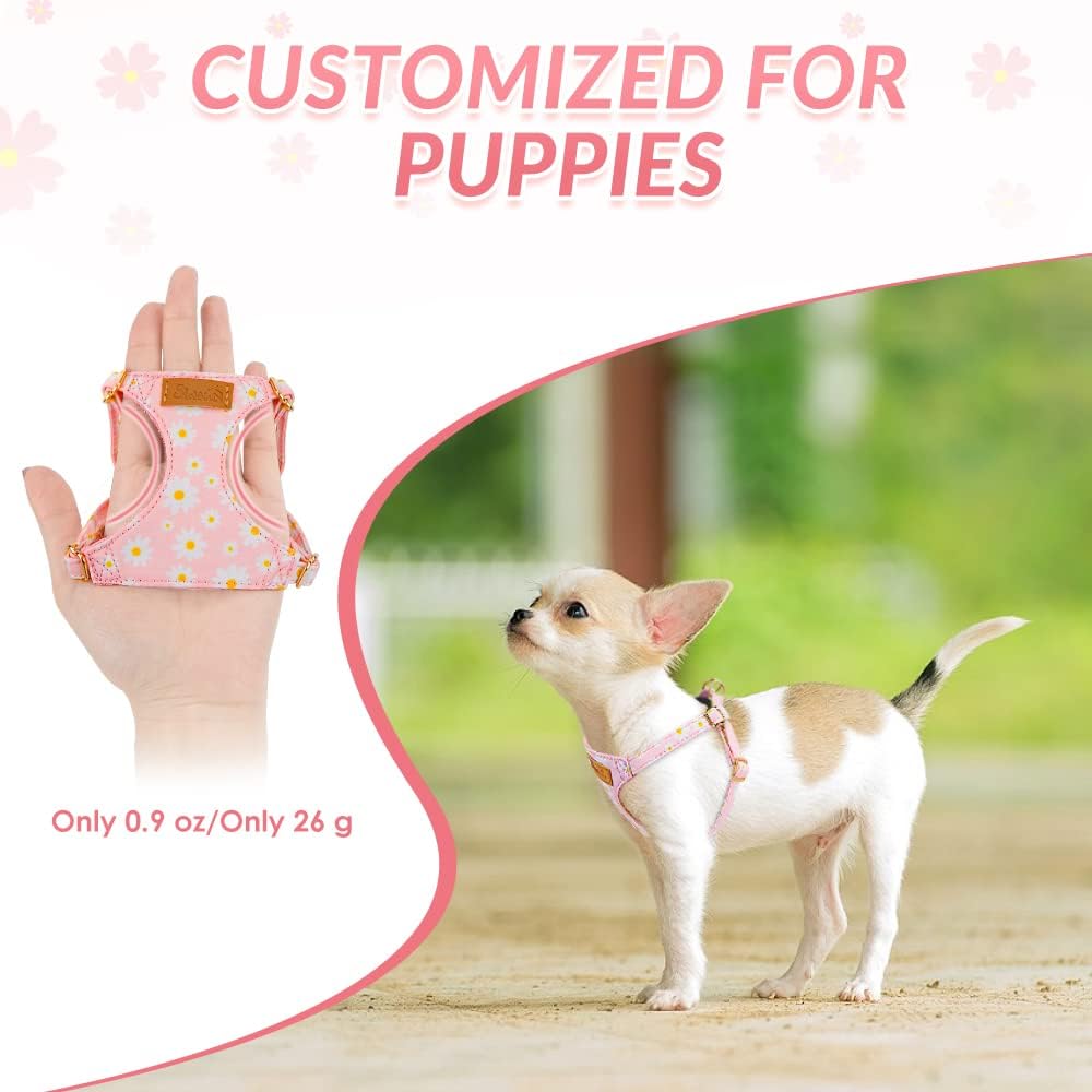 SlowTon lightweight soft suede dog harness and leash set on puppy