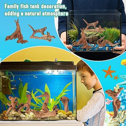 Various assorted shapes of natural coral driftwood suitable for climbing lizards and bioactive enclosures.