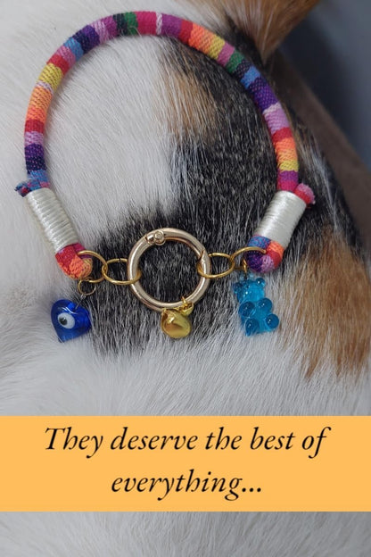 Top view of Hadess cat collar with bell and charm