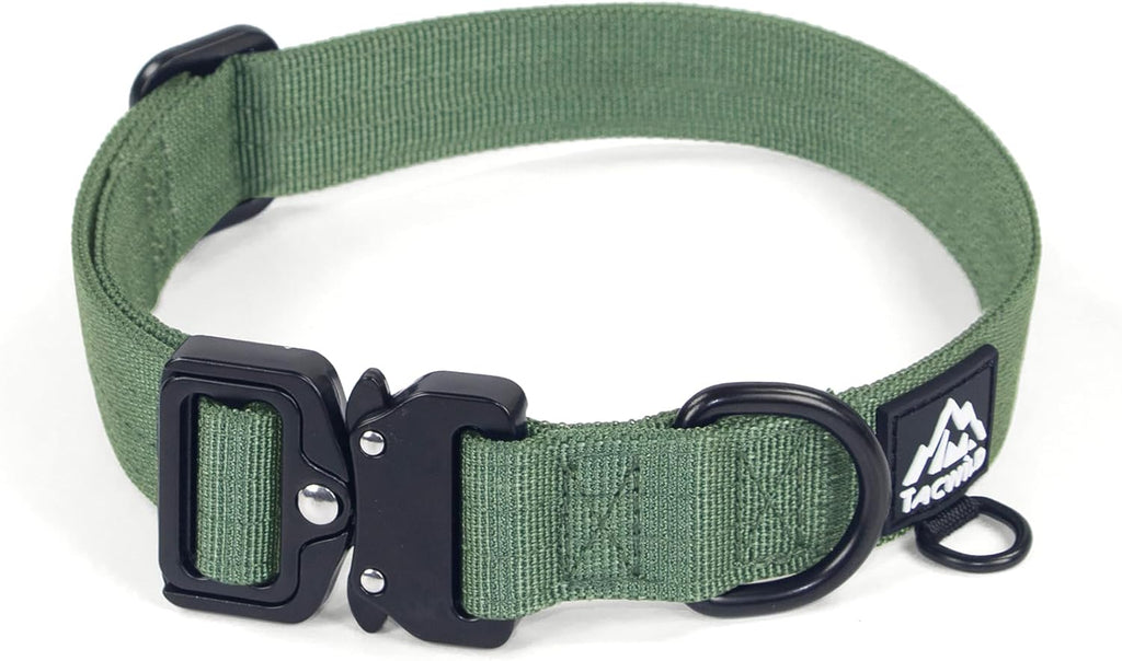Close up of Tacwild dog collar metal quick release buckle