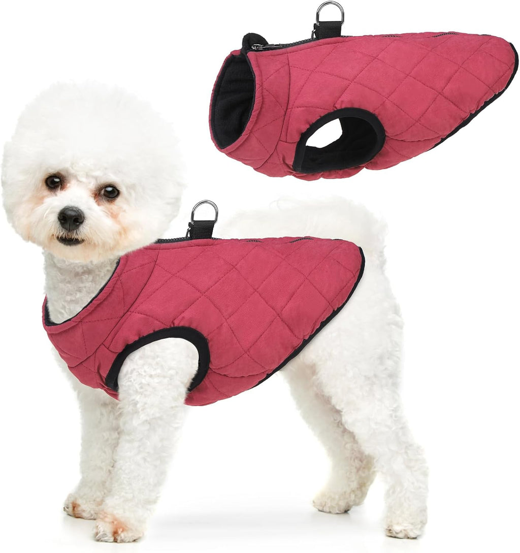Side profile of dog wearing windproof winter snow clothes