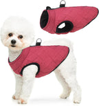 Side profile of dog wearing windproof winter snow clothes