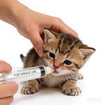 SLWHYZL anti choke pet feeding accessories arranged systematically to show all five distinct volume capacities.