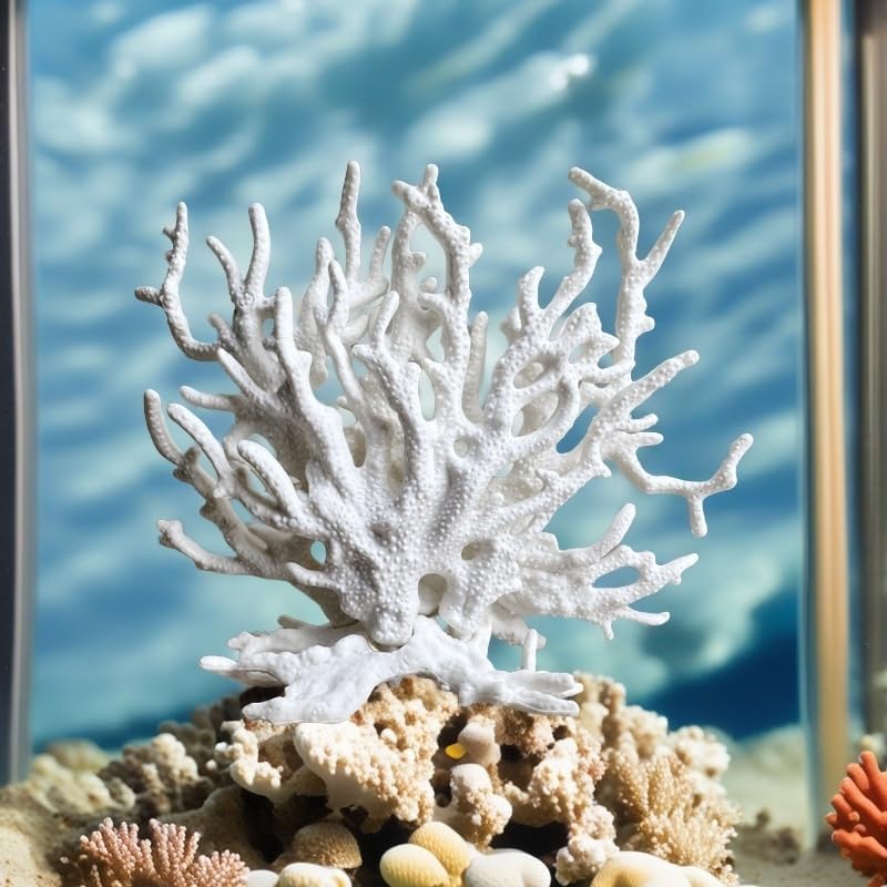 Packaging view of the authentic USA-sourced SwandTanpand resin coral ornament before placement in an Indian home aquarium.