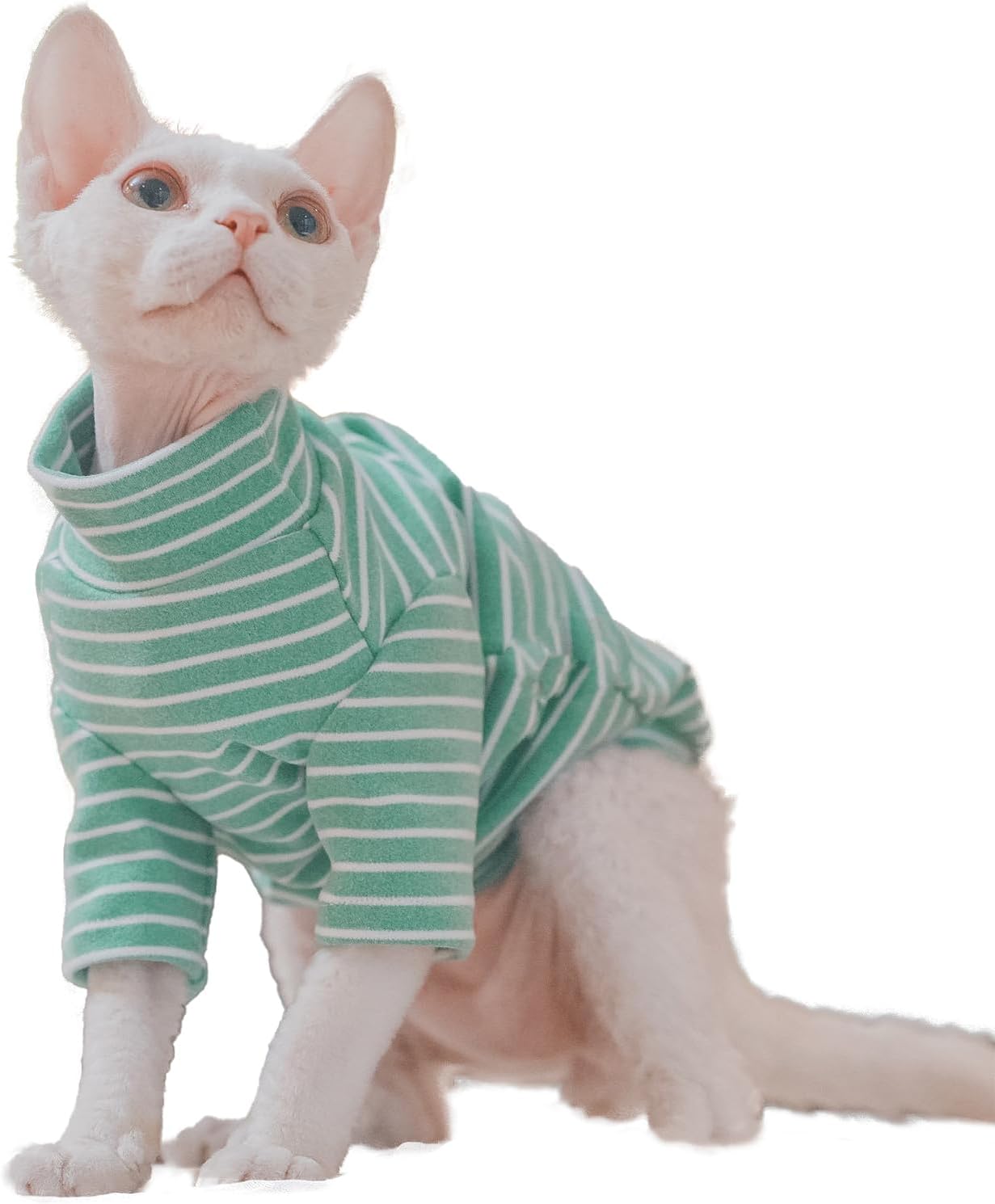 Hairless cat wearing winter thermal fleece shirt indoors