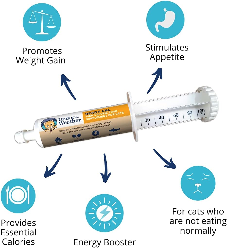Under The Weather cat energy booster supplement syringe format
