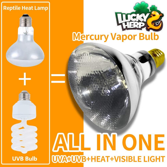 Clear glass reptile basking lamp showing the E26 screw thread base configuration.