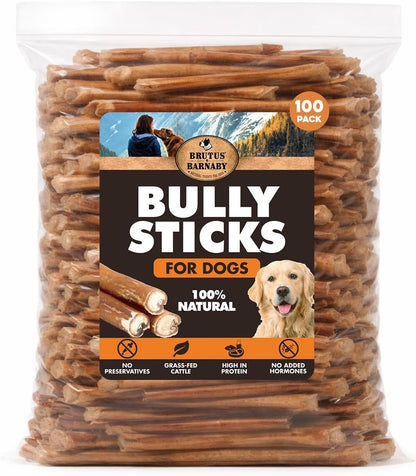 BRUTUS & BARNABY 6 Inch Bully Sticks for Dogs (12 Count) - Thick Grass-Fed Beef Pizzle Sticks, Odor Free Natural Dog Chews, Rawhide Free, Long Lasting for Small, Medium & Large Aggressive Chewers - Image 10