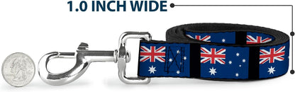 Buckle-Down branded dog leash packaging and quality detail