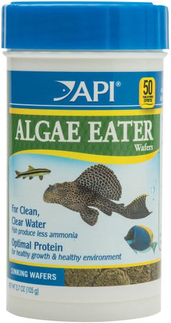 API Algae Eater Wafers 1.3 Ounce bottle on display