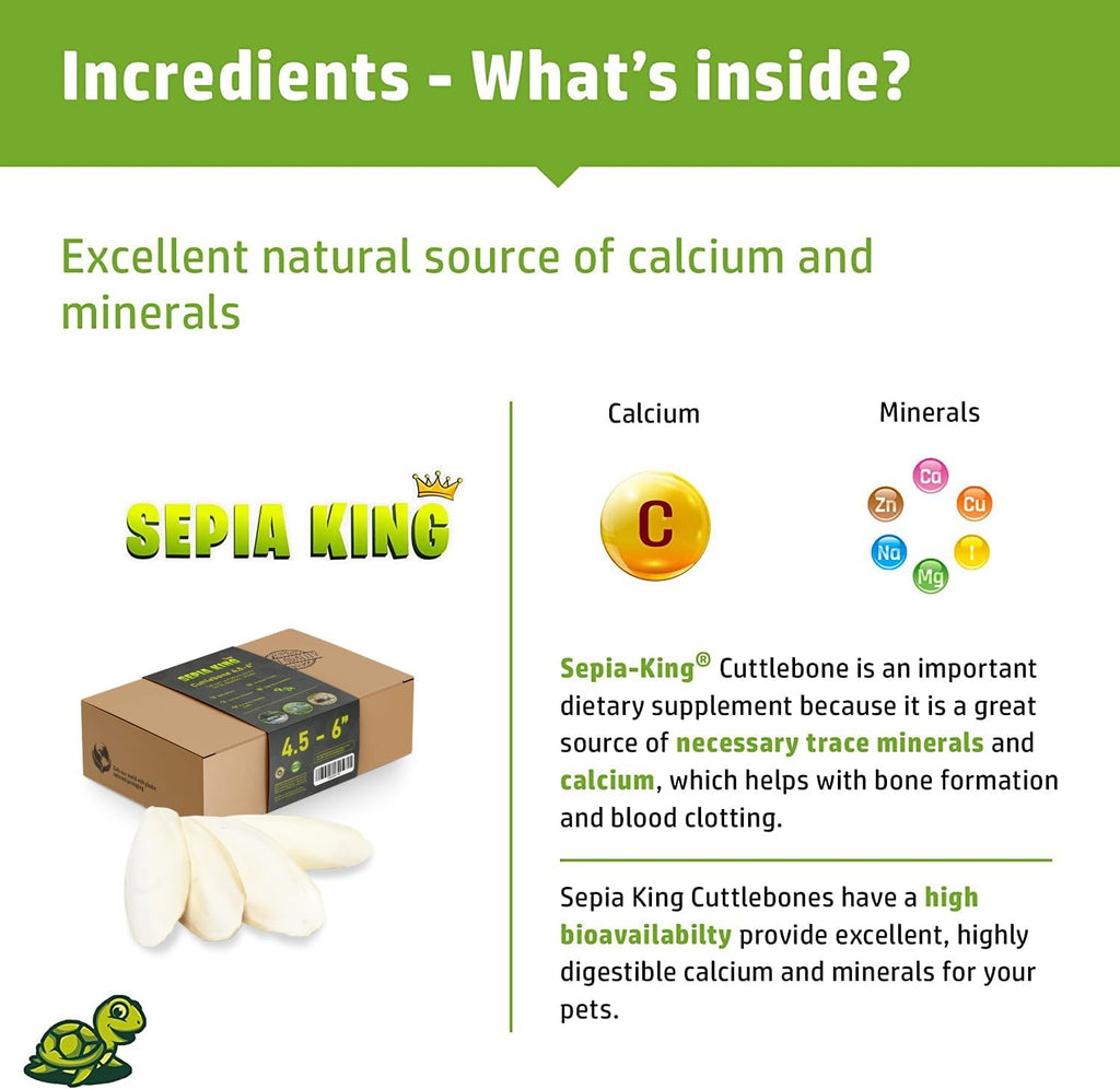 Sepia King premium cuttlebone inside eco-conscious bulk packaging