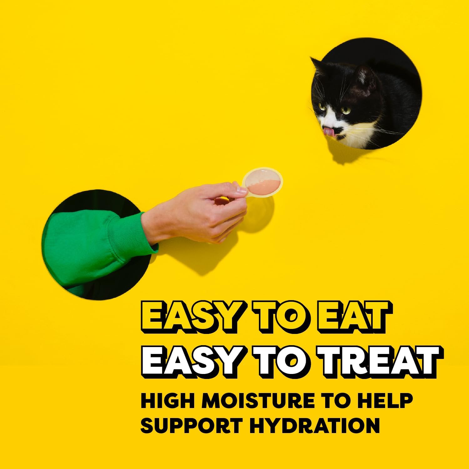 Hand feeding cat with Temptations Lickable Spoon