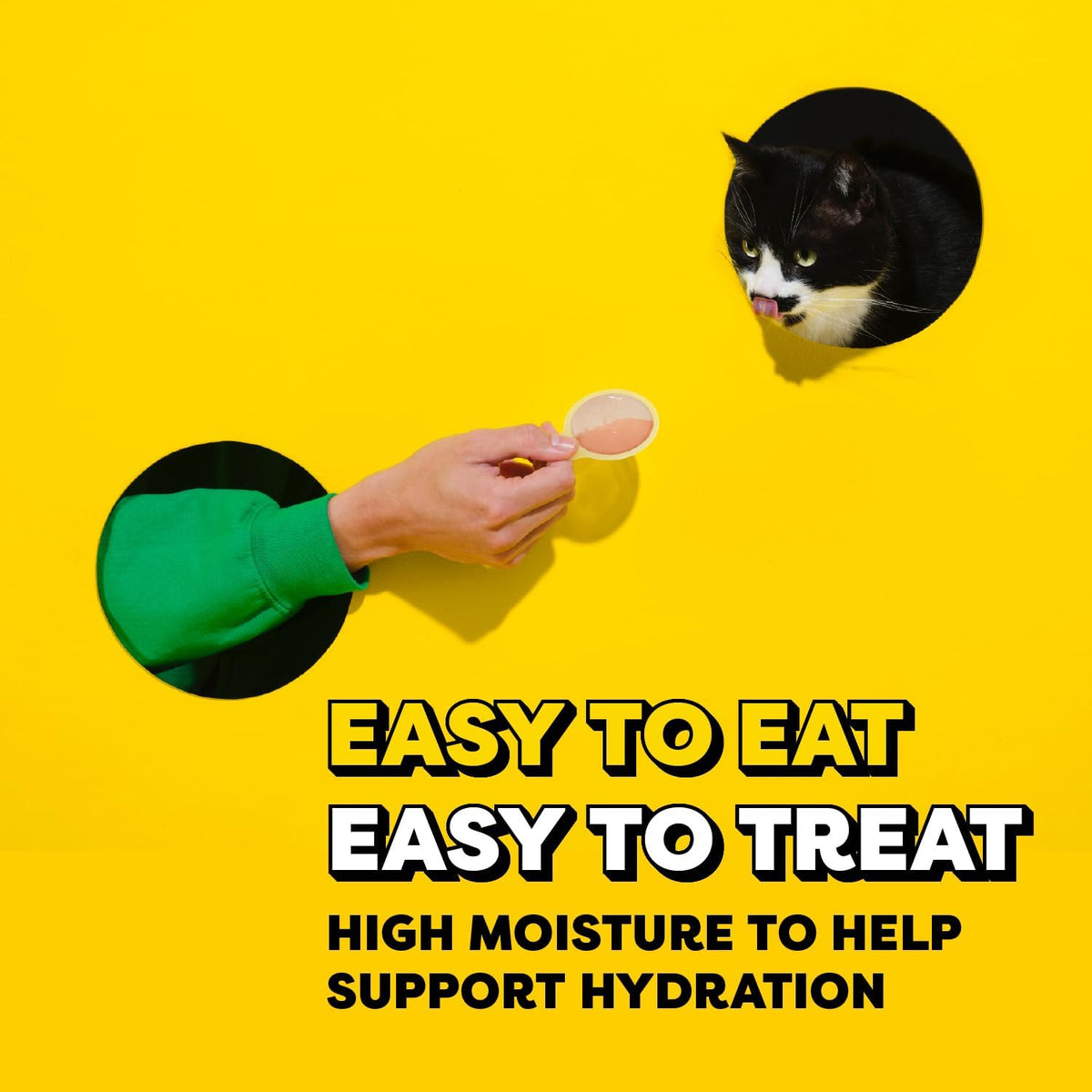 Hand feeding cat with Temptations Lickable Spoon