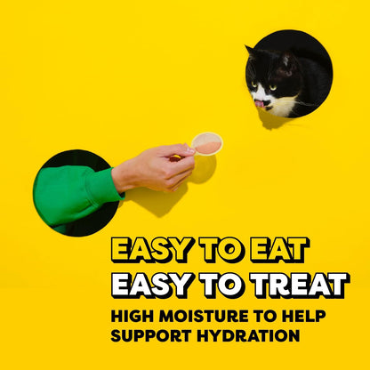 Hand feeding cat with Temptations Lickable Spoon