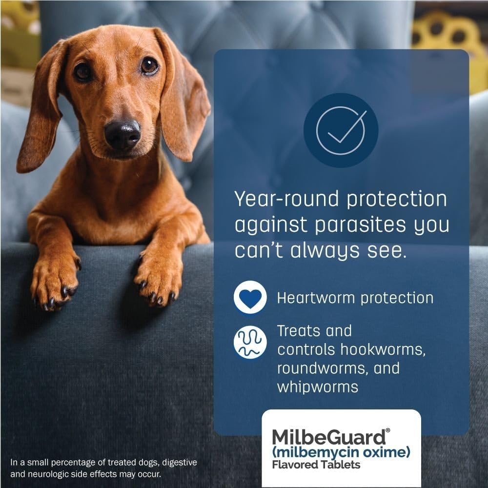 MilbeGuard beef flavored parasite prevention tablets 6 count box