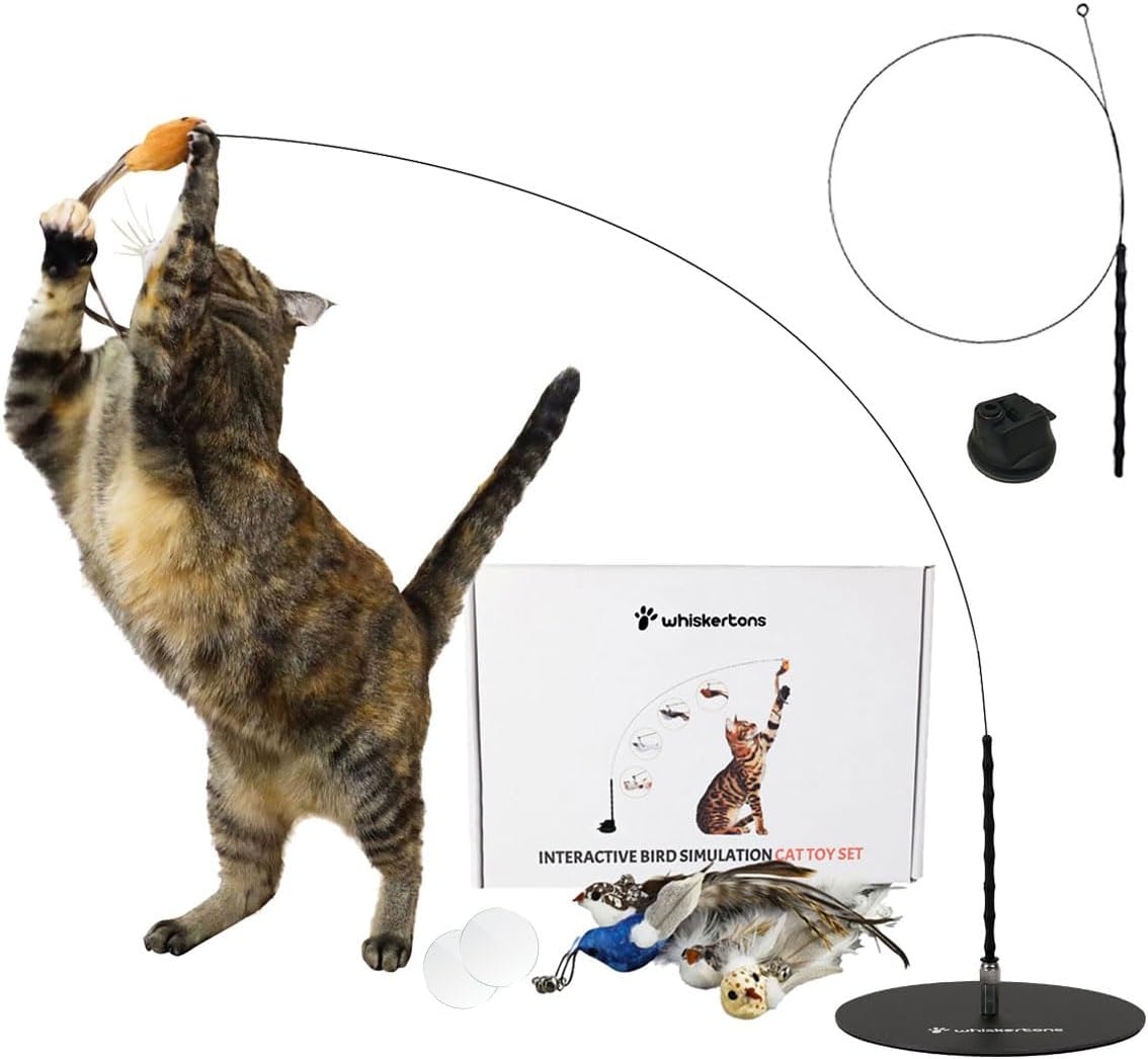 Whiskertons Interactive Bird Simulation Cat Toy Set, Interactive Cat Toys for Indoor Cats, Cat Feather Toy, Self-Holding Suction Base, 5 Replacement Birds, Feathers & Bells, Realistic Bird Impression - Image 8