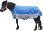 Mini Horse/Pony/Foal/Miniature Size 36"-51" Lightweight Waterproof & Breathable 1200 Denier Turnout Blanket with No Filling Lightblue 36" - Image 11