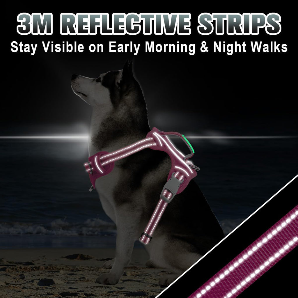 Rear view of Barkbay No Pull Harness with back leash attachment