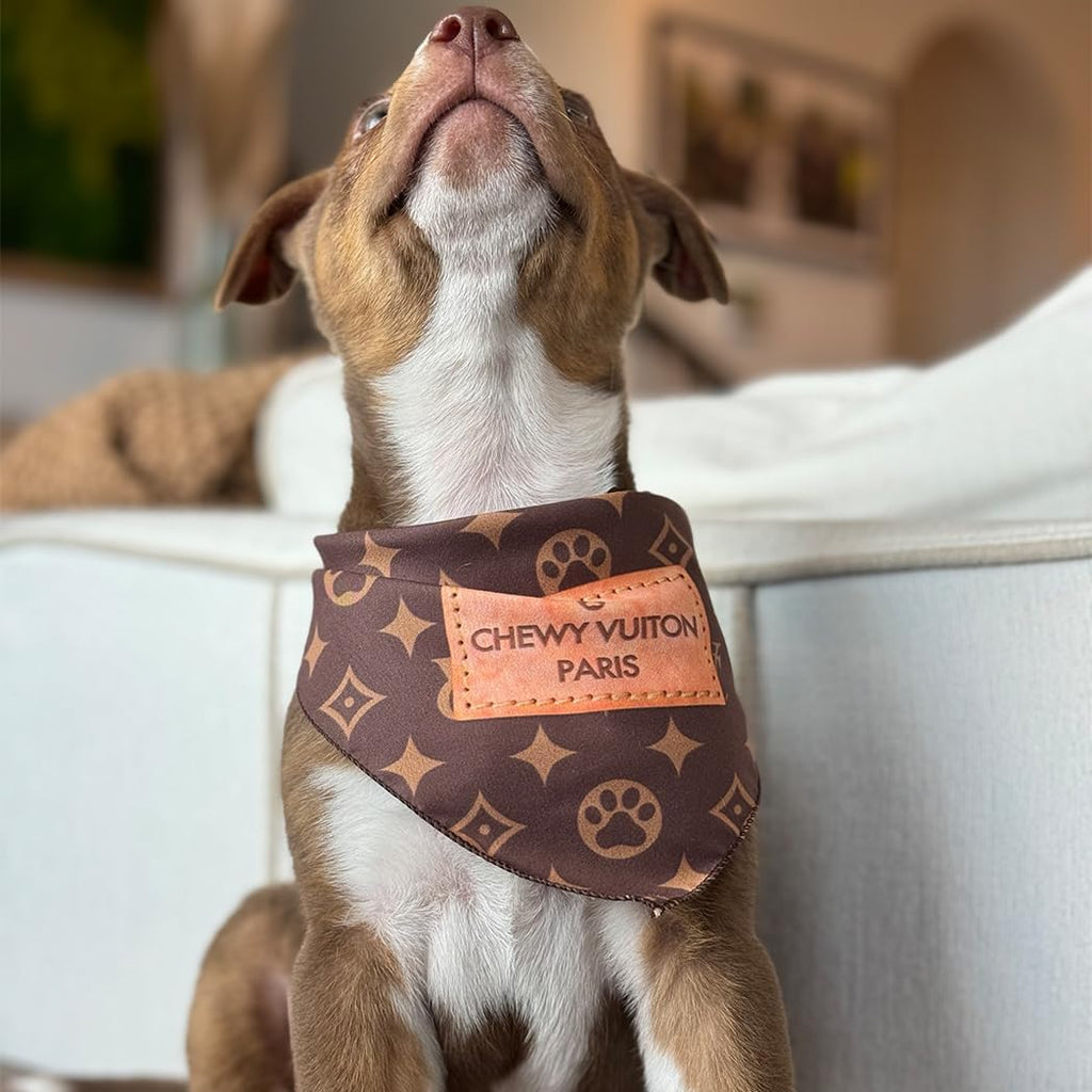 Millionaire Mutt brown CV style adjustable pet kerchief close up