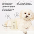 Ouai Fur BÃ©bÃ© shampoo for cats and dogs application