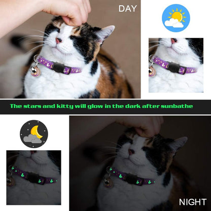 Baeuppit quick release safety buckle on a black kitten collar