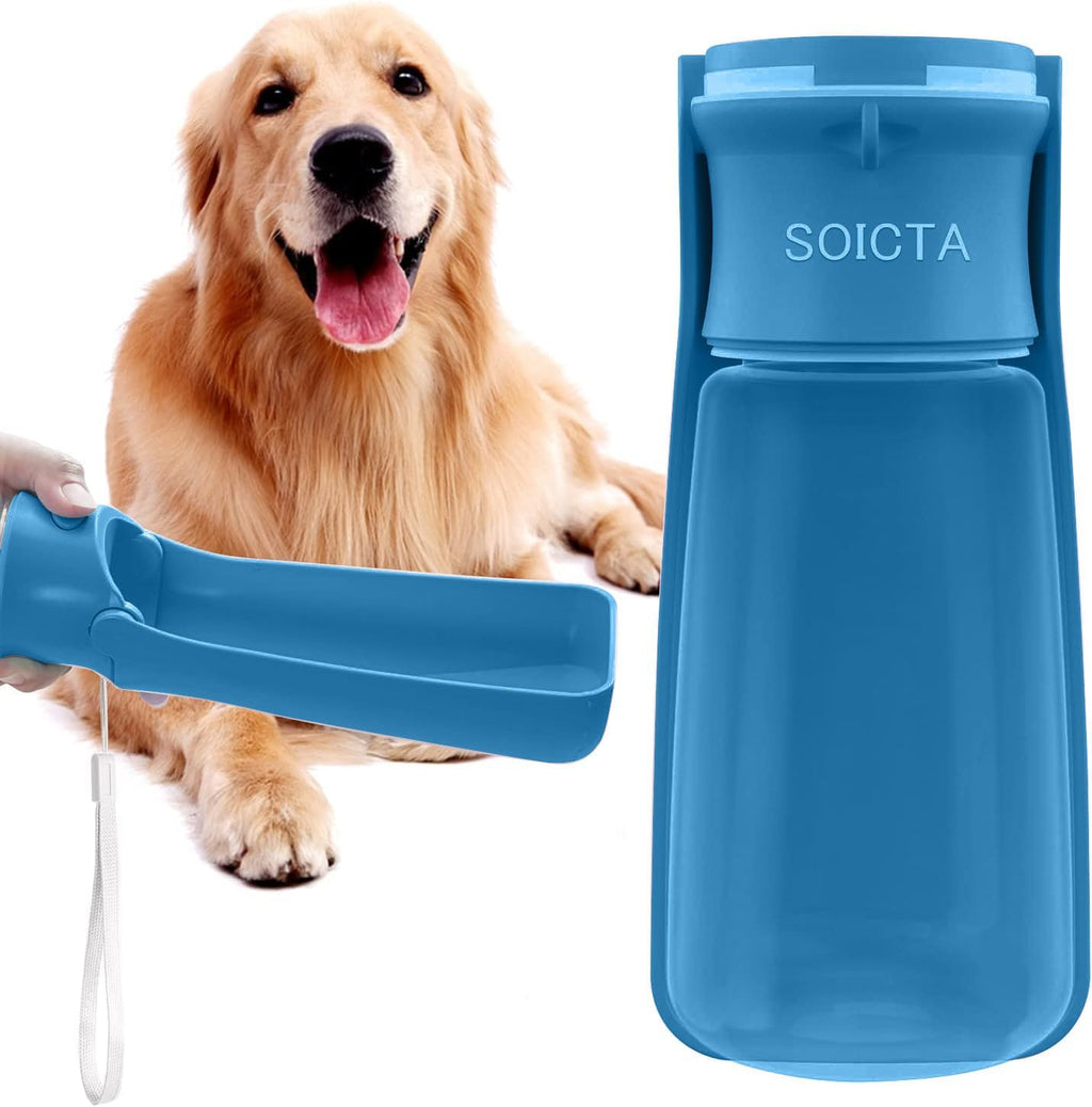 Soicta small animals water bottle filled with water for walking