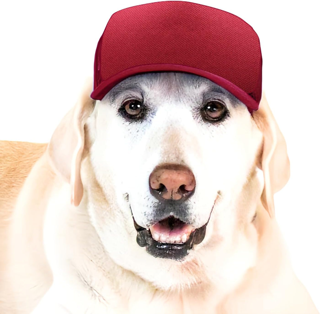 PupLid dog trucker hat cranberry front view for large breeds