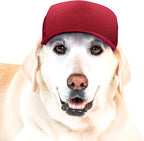 PupLid dog trucker hat cranberry front view for large breeds